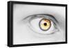 Eye (Close-Up) Art Poster Print-null-Framed Poster