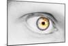 Eye (Close-Up) Art Poster Print-null-Mounted Poster