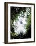 Eye in the Sky-Toula Mavridou-Messer-Framed Photographic Print