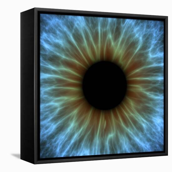 Eye, Iris-PASIEKA-Framed Stretched Canvas