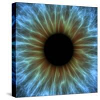 Eye, Iris-PASIEKA-Stretched Canvas