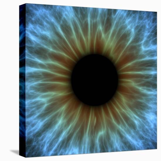 Eye, Iris-PASIEKA-Stretched Canvas