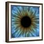 Eye, Iris-PASIEKA-Framed Premium Photographic Print