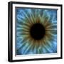 Eye, Iris-PASIEKA-Framed Premium Photographic Print