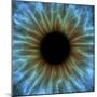 Eye, Iris-PASIEKA-Mounted Premium Photographic Print