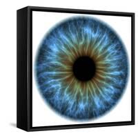 Eye, Iris-PASIEKA-Framed Stretched Canvas