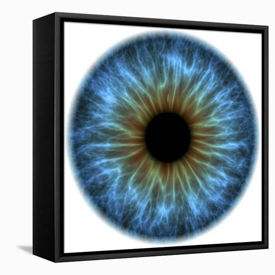 Eye, Iris-PASIEKA-Framed Stretched Canvas