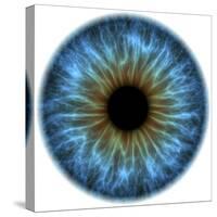 Eye, Iris-PASIEKA-Stretched Canvas