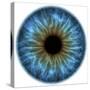 Eye, Iris-PASIEKA-Stretched Canvas