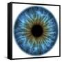 Eye, Iris-PASIEKA-Framed Stretched Canvas