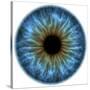 Eye, Iris-PASIEKA-Stretched Canvas