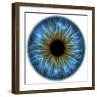 Eye, Iris-PASIEKA-Framed Premium Photographic Print