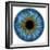 Eye, Iris-PASIEKA-Framed Premium Photographic Print