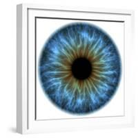 Eye, Iris-PASIEKA-Framed Premium Photographic Print