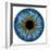 Eye, Iris-PASIEKA-Framed Premium Photographic Print