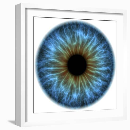 Eye, Iris-PASIEKA-Framed Premium Photographic Print