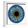 Eye, Iris-PASIEKA-Framed Premium Photographic Print