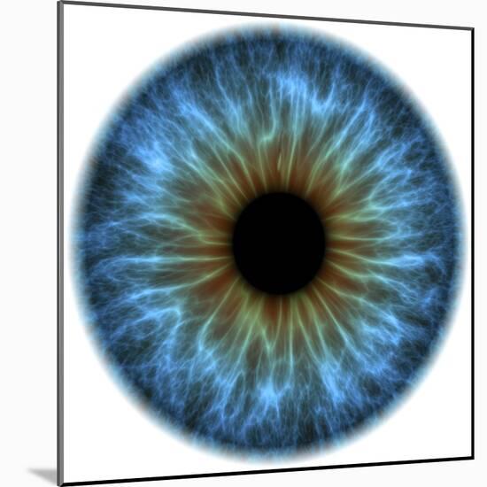 Eye, Iris-PASIEKA-Mounted Premium Photographic Print