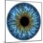 Eye, Iris-PASIEKA-Mounted Premium Photographic Print