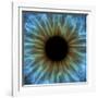 Eye, Iris-PASIEKA-Framed Photographic Print