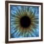 Eye, Iris-PASIEKA-Framed Photographic Print