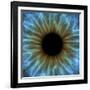 Eye, Iris-PASIEKA-Framed Photographic Print