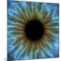 Eye, Iris-PASIEKA-Mounted Photographic Print