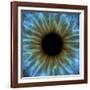 Eye, Iris-PASIEKA-Framed Photographic Print