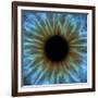 Eye, Iris-PASIEKA-Framed Photographic Print