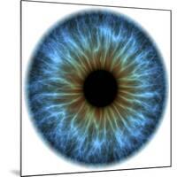 Eye, Iris-PASIEKA-Mounted Photographic Print