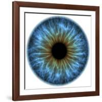 Eye, Iris-PASIEKA-Framed Photographic Print