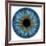 Eye, Iris-PASIEKA-Framed Photographic Print