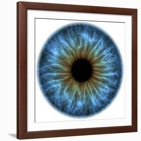 Eye, Iris-PASIEKA-Framed Photographic Print