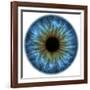 Eye, Iris-PASIEKA-Framed Photographic Print