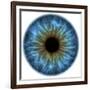 Eye, Iris-PASIEKA-Framed Photographic Print