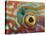 Eye of a Corkwing Wrasse-null-Stretched Canvas