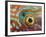 Eye of a Corkwing Wrasse-null-Framed Photographic Print