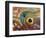 Eye of a Corkwing Wrasse-null-Framed Photographic Print