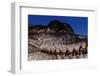 Eye of an American Crocodile-W. Perry Conway-Framed Photographic Print