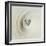 Eye of Hurricane Emilia-Science Source-Framed Premium Giclee Print