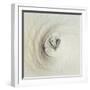 Eye of Hurricane Emilia-Science Source-Framed Premium Giclee Print