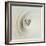 Eye of Hurricane Emilia-Science Source-Framed Giclee Print