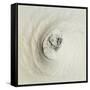 Eye of Hurricane Emilia-Science Source-Framed Stretched Canvas