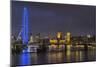 Eye of London-Giuseppe Torre-Mounted Photographic Print