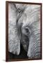 Eye of the African elephant, Serengeti National Park, Tanzania, East Africa, Africa-Ashley Morgan-Framed Photographic Print