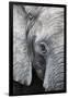 Eye of the African elephant, Serengeti National Park, Tanzania, East Africa, Africa-Ashley Morgan-Framed Photographic Print