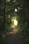 Tunnel of Fall-Eye Of The Mind Photography-Photographic Print