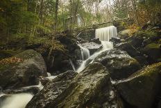 Tunnel of Fall-Eye Of The Mind Photography-Photographic Print