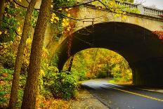 Tunnel of Fall-Eye Of The Mind Photography-Photographic Print