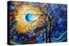 Eye Of The Universe-Megan Aroon Duncanson-Stretched Canvas